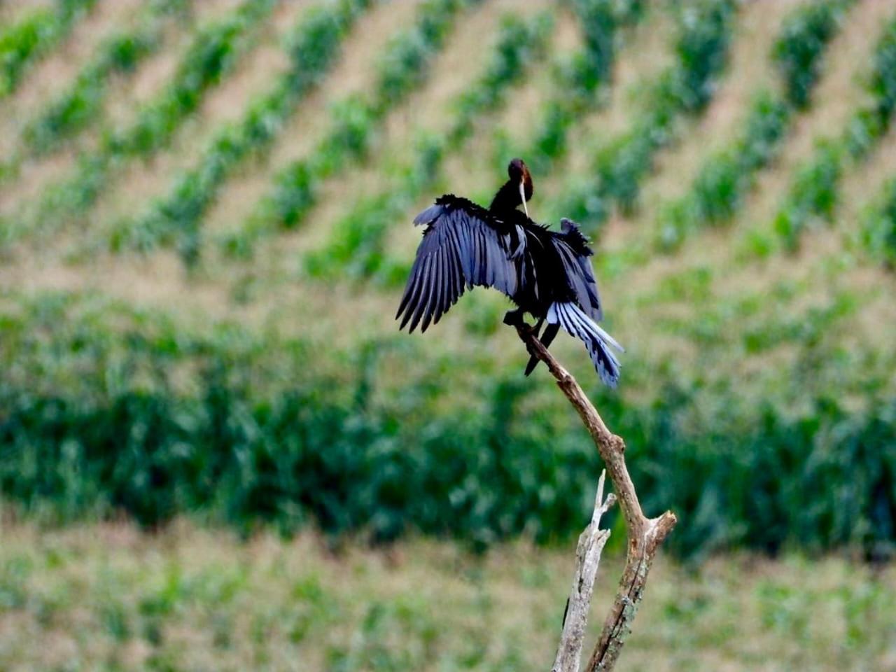 Rosetta Fields Country Lodge Henburg Park Bagian luar foto